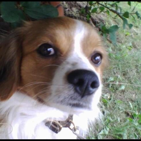 Meet your Posher, David - Picture 1 of 1